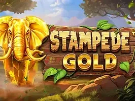 Stampede Gold thumbnail